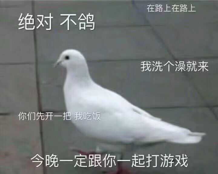 绝对不鸽