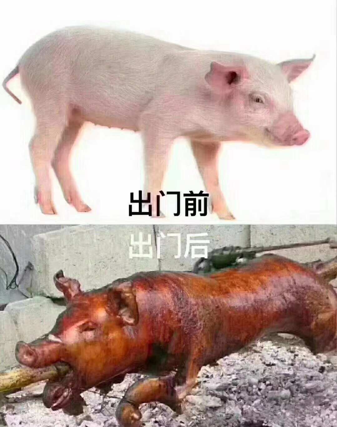 出门前、出门后