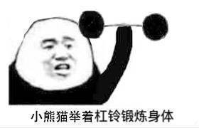 小熊猫举着杠铃锻炼身体