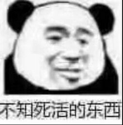 不知死活的东西