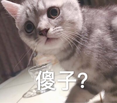 傻子？