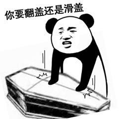 你要翻盖还是滑盖