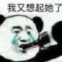 我又想起她了