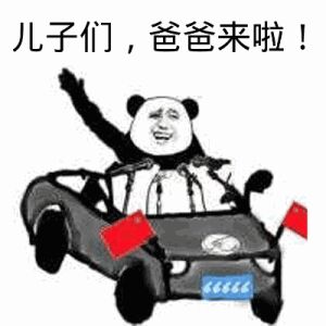 儿子们，爸爸来啦！