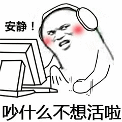 安静，吵什么不想活啦