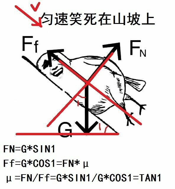 匀速笑死在山坡上