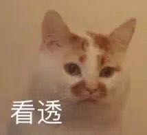 看透