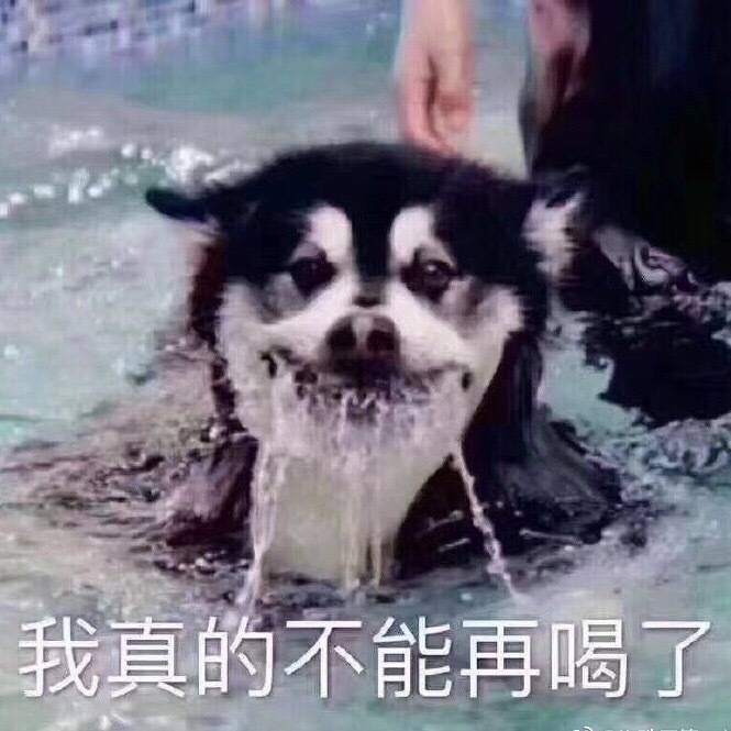 我真的不能再喝了