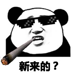 新来的？