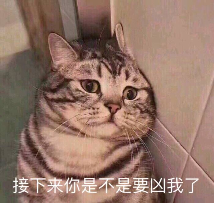 接下来你是不是要凶我了