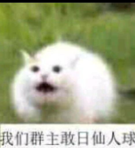我们群主敢日仙球