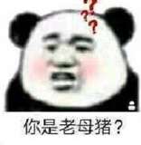 你是老母猪？