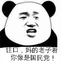 住口，妈的老子看你像是国民党！