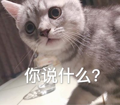 你说什么？