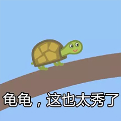 龟龟这也太秀了