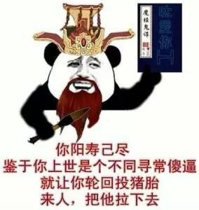 你阳寿己尽，鉴于你上世是个不同寻常傻逼，就让你轮回投猪胎来人，把他拉下去。