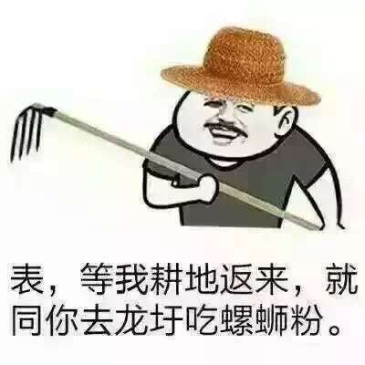 表，等我耕地返来，就同你去龙圩吃螺蛳粉。