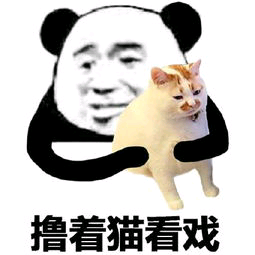 撸着猫看戏