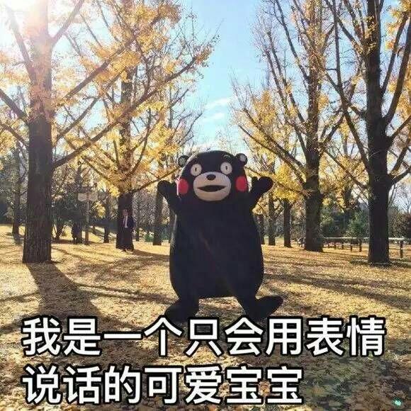 我是一个只会用表情说话的可爱宝宝