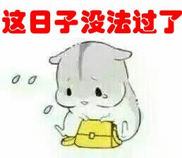 这日子没法过了