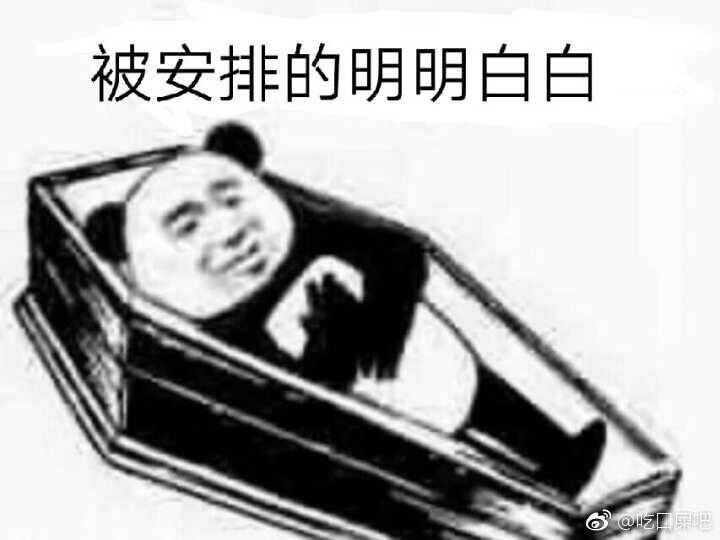 被安排的明明白白