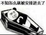 不知怎么的，就被安排进去了