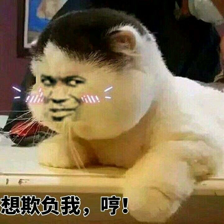 想欺负我。哼