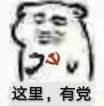 这里，有党