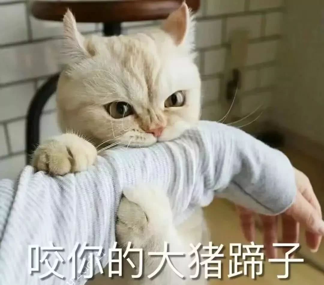 咳，你的大猪蹄子