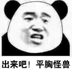 出来吧！平胸怪兽