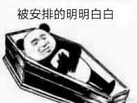 被安排的明明白白