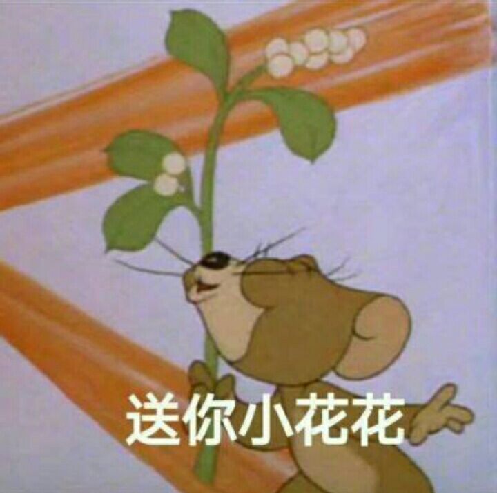 送你小花花