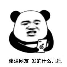 傻逼网友发的什么几把