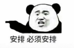 安排，必须安排