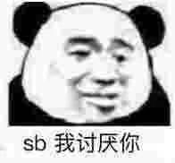 sb我讨厌你