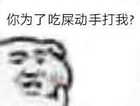 你为了吃屎动手打我？