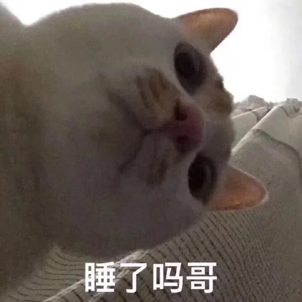 睡了吗？哥