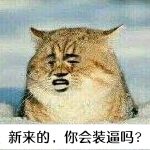 新来的，你会装逼吗？