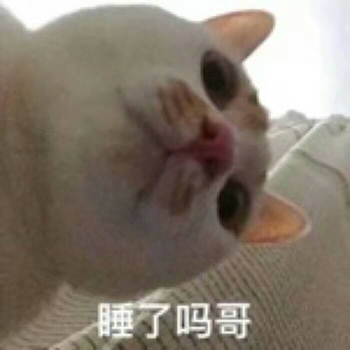 睡了吗哥