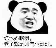 你他妈瞎啊，老子就是帅气小哥哥