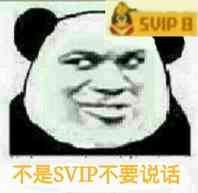 不是SVIP不要说话