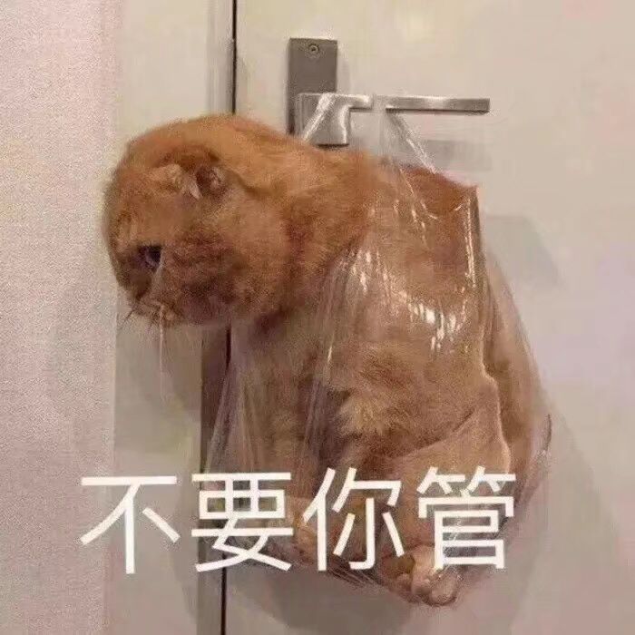 不要你管