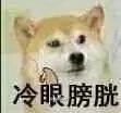 冷眼膀胱
