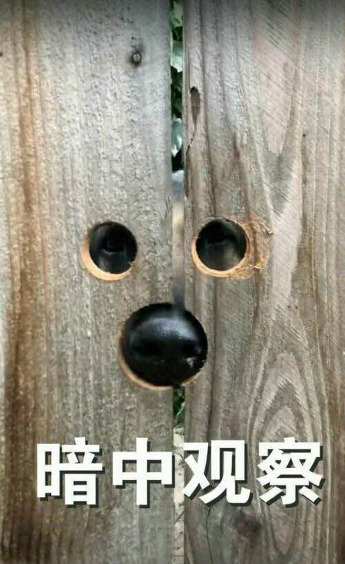 暗中观察