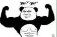 gay不gay？