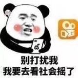 别打扰我，我要去看社会摇了