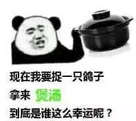 现在我要捉一只鸽子拿来煲到底是谁这么幸运呢？