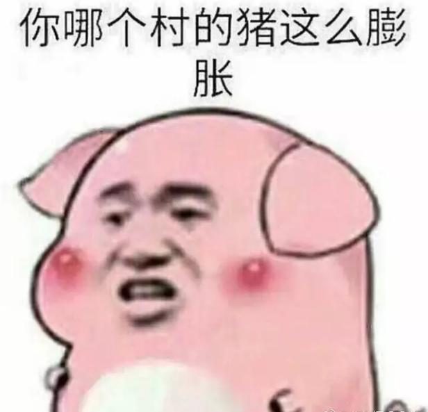 你哪个村的猪这么膨胀