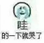 哇的一下就哭了