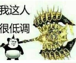 我这人很低调的